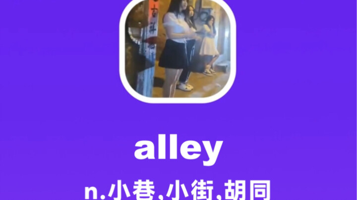 alley: ngõ nhỏ, phố nhỏ, hẻm