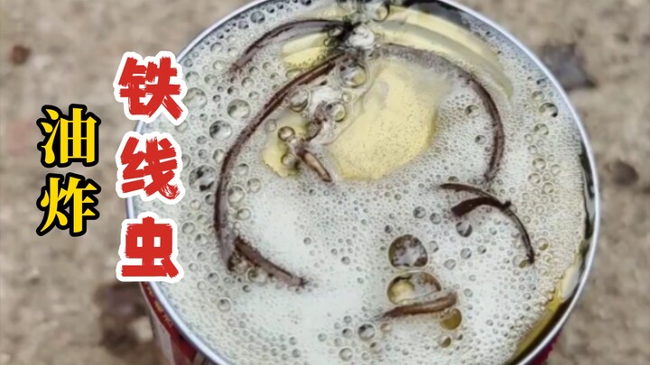 Fried giant horsehair worm! Warning: it really will burst!!