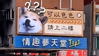 《动物迷惑行为大赏90》