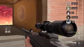 【قصيرة/آيك/شو】 القط السويدي شو سيقتل بالرصاص بسبب غضبه
