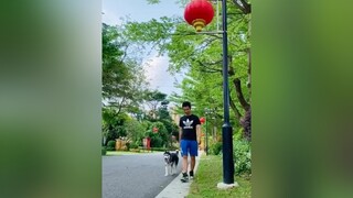 Chuẩn Ngáo 🤣xuhuongthapnien80 cute consen haihuoc tiktokhot cười