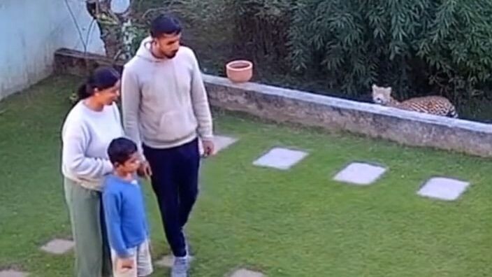 Pet Cat vs Leopard 😱  Real CCTV Garden Footage