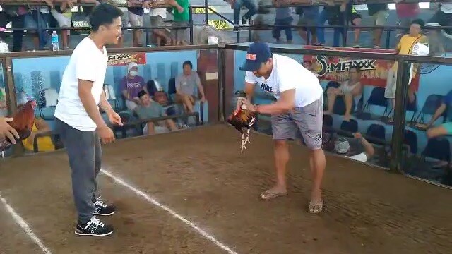 Champion 2nd fyt kapit bossing