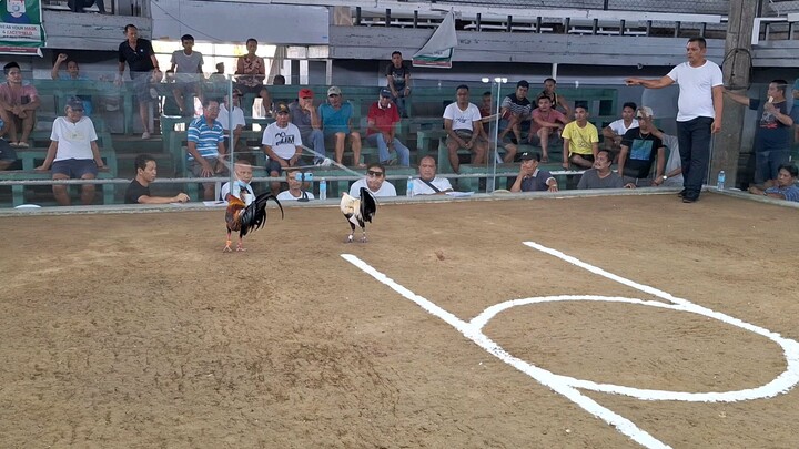 tanjay derby RTB2024 offbet