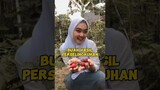 #shortsyoutube #shortvideo #buahbuahan #buah #stroberry #explore