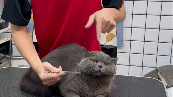 Dòng sản phẩm chăm sóc và giặt giũ dịu nhẹ cho bé mập xanh