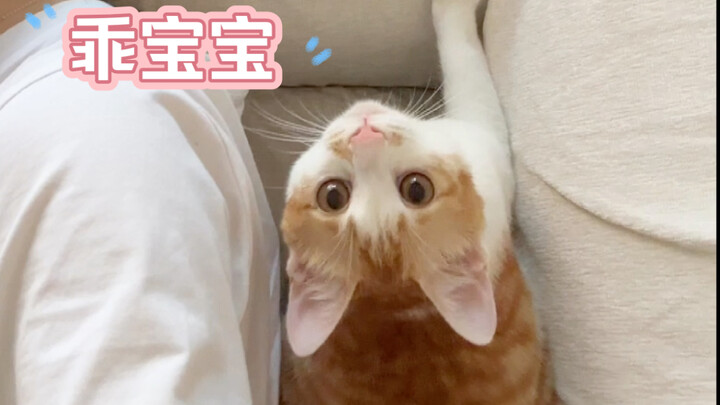 ถ้าฉันไม่ตามใจมัน แล้วใครจะตามใจมันล่ะ?