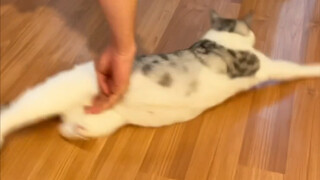 不然 医院网很快 护士很美