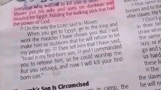 Daily Verse.                  Exodus 4:21-23