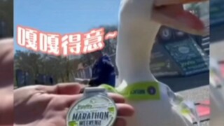 鸭鸭去跑马拉松没笑，却被中国网友整笑了