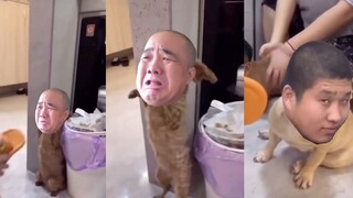 教训一只贵物
