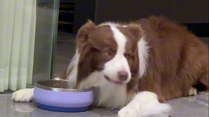 Yuzai: If it’s to pick up Mom, we can skip eating for now.