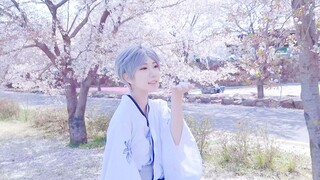 [Cậu bé bóng chuyền] Phía của vị thần [Sugawara Takashi cos]