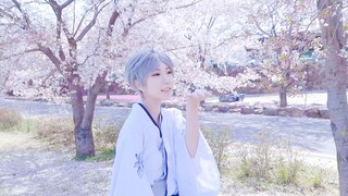 [Volleyball boy] The side of the god [Sugawara Takashi cos]