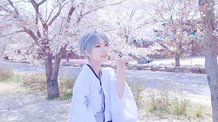 [Volleyball boy] The side of the god [Sugawara Takashi cos]