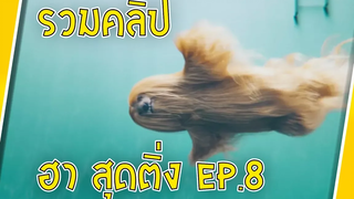 รวมคลิป มันส์ แบบอึ้ง ทึ่ง เสียว EP8 Sabai Sabai