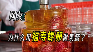 Netizen: This is really not an apple snail?