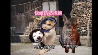 关于爷爷的回忆