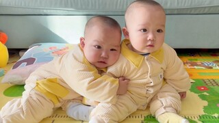 团哥圆哥的部分相亲相爱瞬间，没见过如此粘人的弟弟（我圆哥不黑，要怪就怪光线）