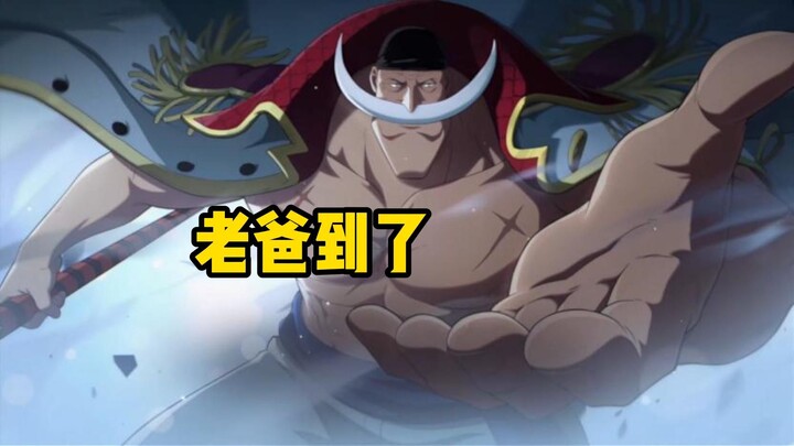 Dad’s here! The white beard has finally arrived [One Piece: Grand Cruise]