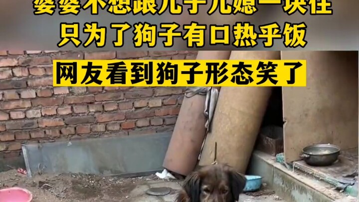 4 Januari, Weifang, Shandong: Mertua enggan tinggal bersama anak dan menantu; ia nyalakan tungku di 