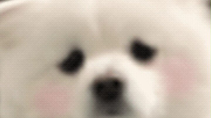 นึกว่าจะหลีกเลี่ยงเส้นทางที่วกวนไปสามสิบปีได้ แต่กลับกลายเป็นว่าชีวิตสั้นลงสามสิบปี