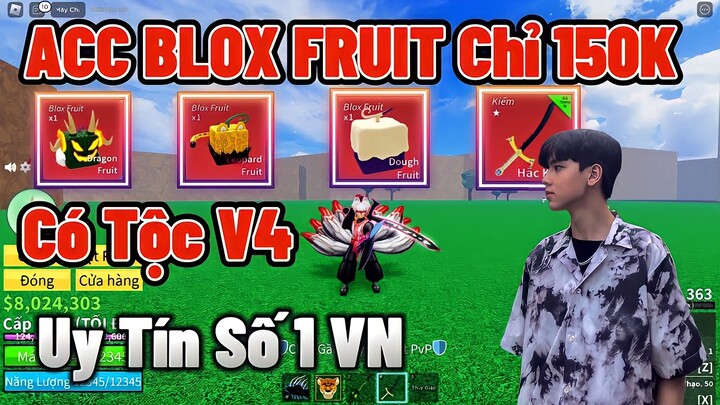 Quân Hướng Dẫn Mua Acc Blox Fruit Có Tộc V4, Mochi V2, Leopard Vĩnh Viễn