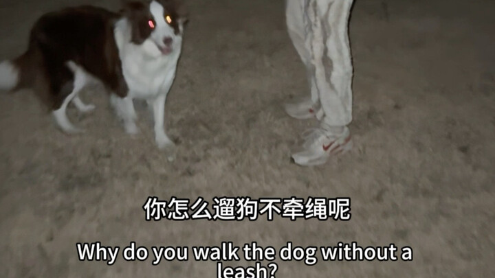 Caught in the suburbs in the middle of the night