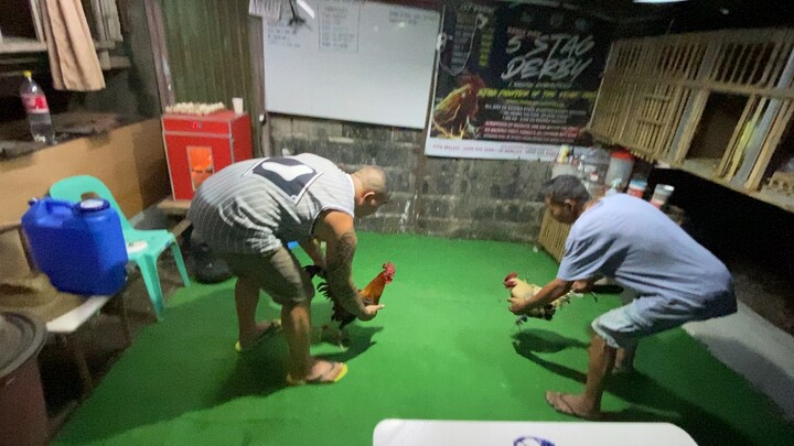 Lemon vs el grama grey! Oct 12,2025 time:8:45pm