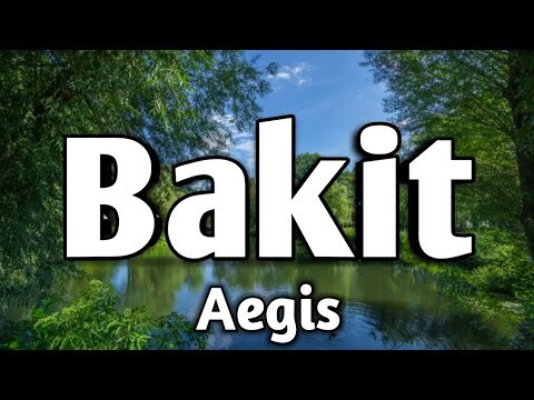 BAKIT - Aegis (KARAOKE VERSION)