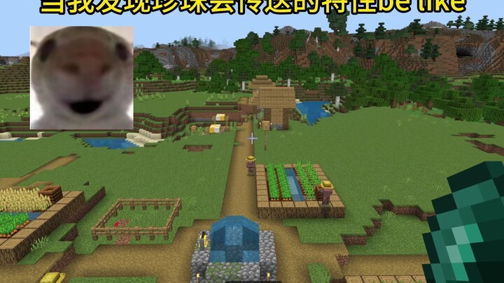 Minecraft: When I Realize Pearls Can Teleport… That’s How It Goes!