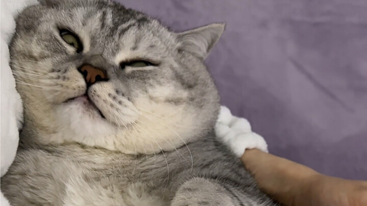 Hugging Da Zhuang to sleep