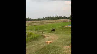 เป็นคนดีฝุดๆ เลวสุดคือใช้เท้าเปิดพัดลม