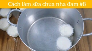 Cách làm sữa chua nha đam p8