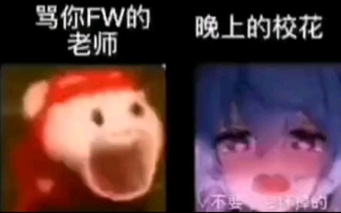 عندما تحصل على 750 في امتحان القبول الجامعي...