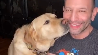 亲一下狗狗的额头，它有什么反应？