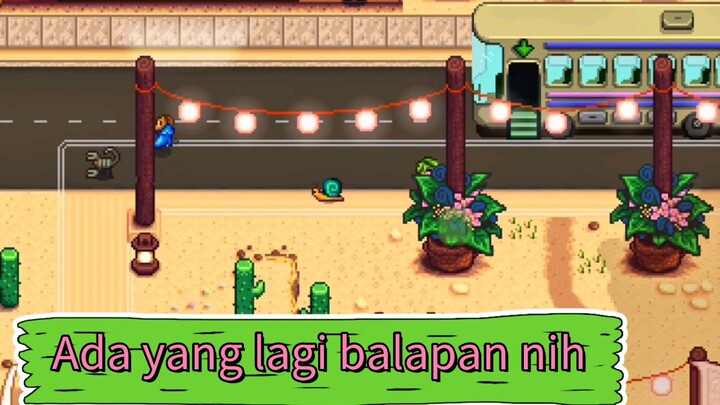 festival di gurun calico seru banget🤩