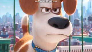 The Secret Life Of Pets - Max and Chole Scene