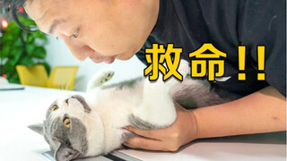 Aku seekor kucing, dan hanya butuh waktu 0,5 detik sebelum pria jelek ini menciumku.
