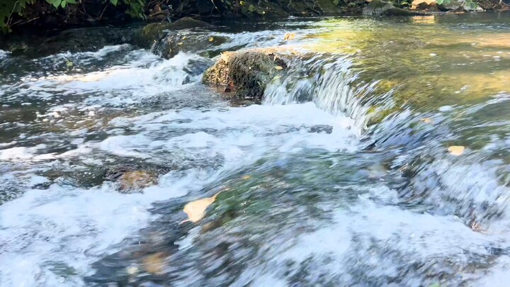 4K Beautiful Water Stream with nature sounds