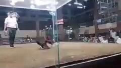 kahit napilay na tarian panalo pa rin