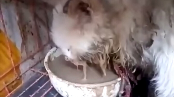 Survived for 3 Years with a Dislocated Jaw—All on Soup!