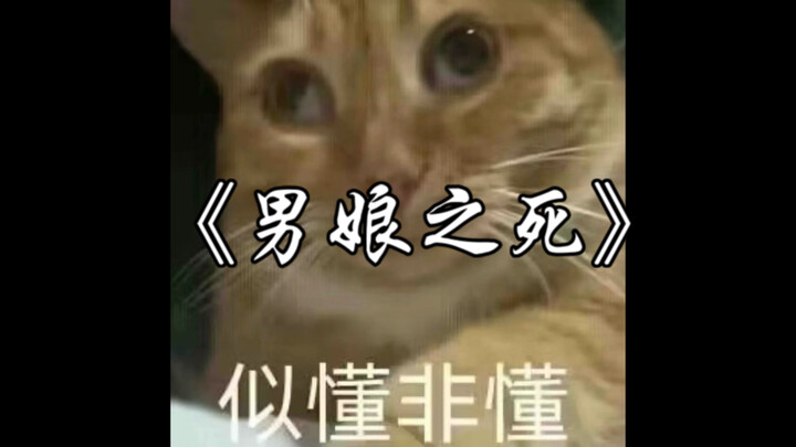 【Meme mèo】Những vụ án tréo ngoe trong những năm làm pháp y 4: Cái chết của Nam Lương
