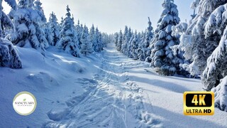 1 Hour of Calm and Serene Winter: Ambient Piano Music for Stress Relief, Study, and Sleep