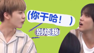 Mengmeng's difficult Chinese dialogue