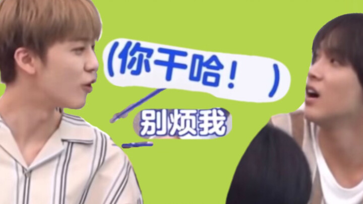 Mengmeng's difficult Chinese dialogue