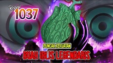 REVIEW OP 1037 - BUAH IBLIS YG DI TAKUTI GOROSEI AKHIRNYA AWAKENING! ZUNISHA TERNYATA PENGGUNA DF?!