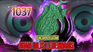 REVIEW OP 1037 - BUAH  IBLIS YG DI TAKUTI GOROSEI AKHIRNYA AWAKENING! ZUNISHA TERNYATA PENGGUNA DF?!