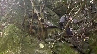 网友爬山偶遇原住民 老人单手爬陡坡如履平地