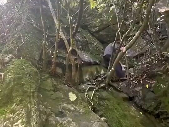 网友爬山偶遇原住民 老人单手爬陡坡如履平地